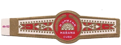 ring 1