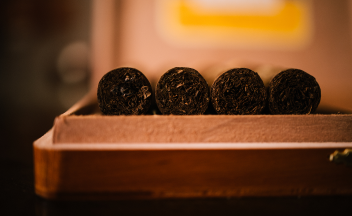 DIY Humidors